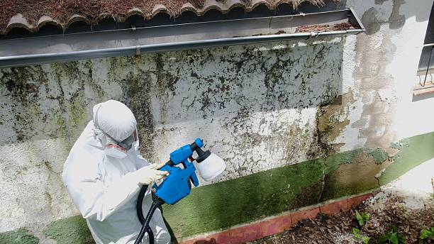 Trusted Mold Inspection service in Kilmarnock, VA - Cheap Mold Removal